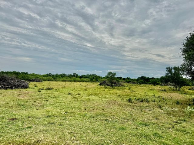 a big yard with trees