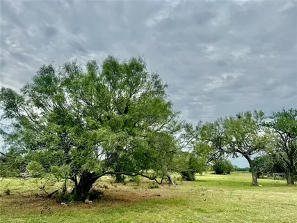 a view of a green yard