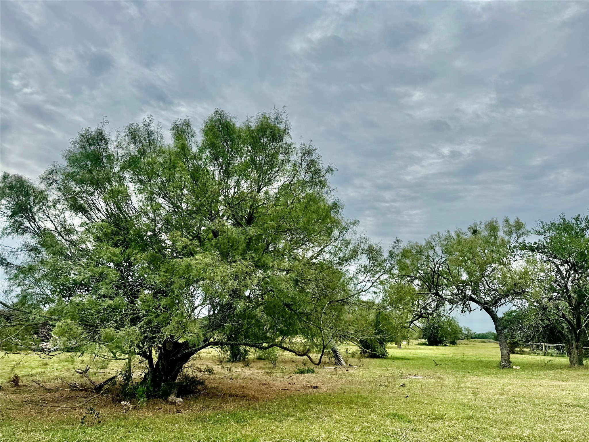 312 County Road 312 Yoakum, TX 77995 - Photo 18 of 28 a garden view