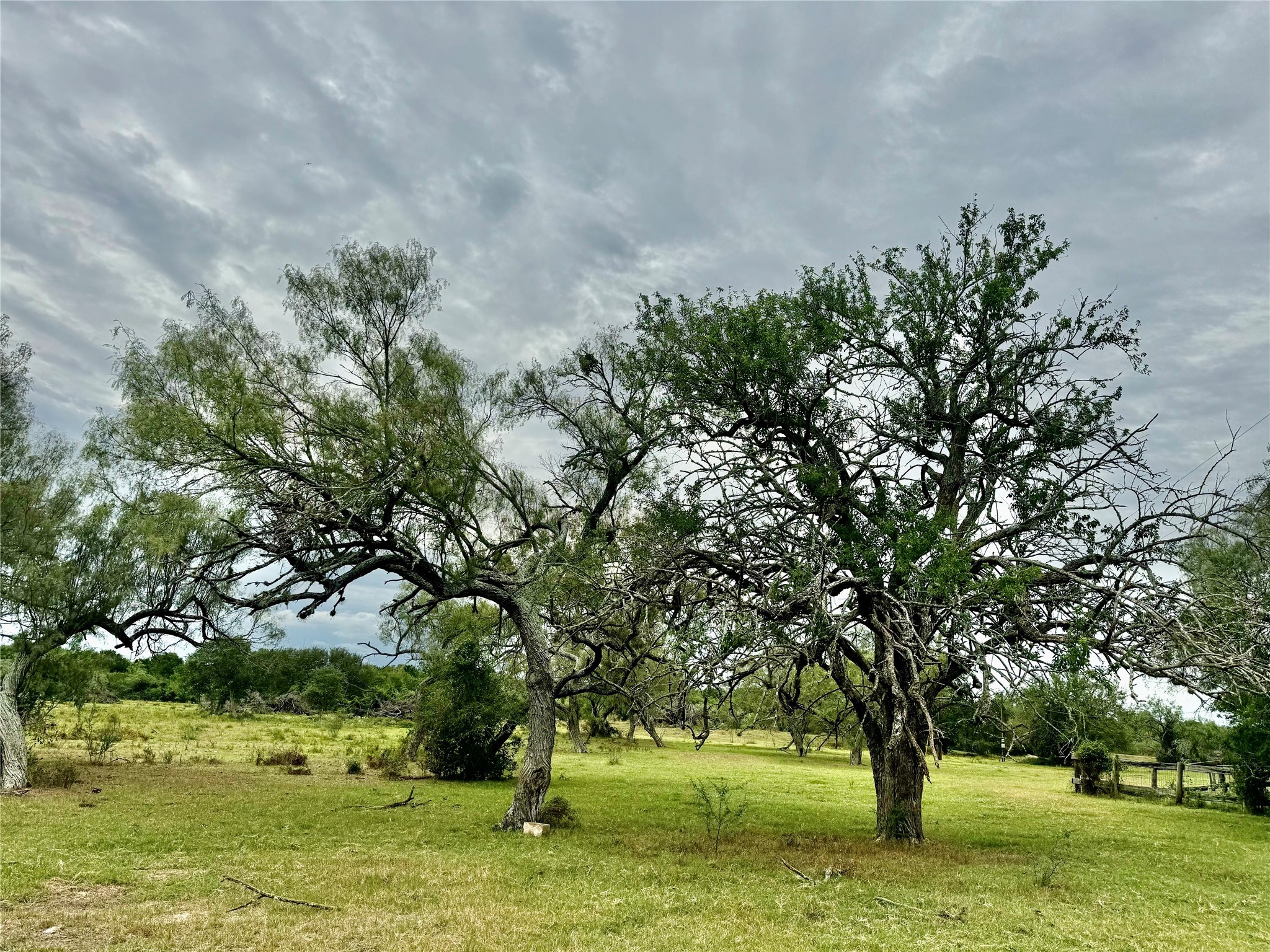 312 County Road 312 Yoakum, TX 77995 - Photo 19 of 28 a big yard with trees