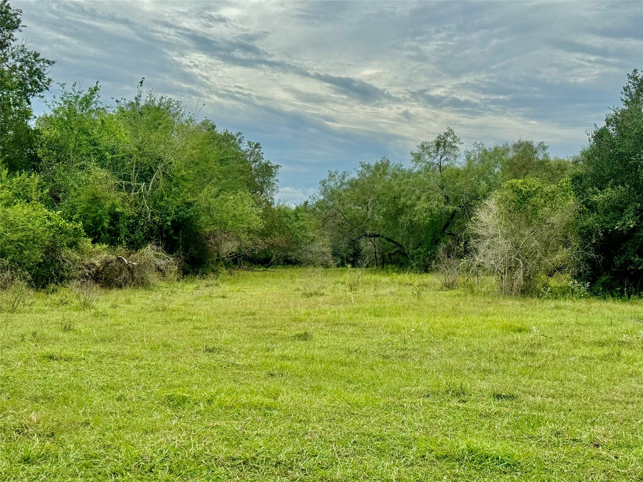 312 County Road 312 Yoakum, TX 77995 - Photo 20 of 28 a view of a green yard