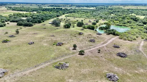 a view of a dry yard with lots of trees