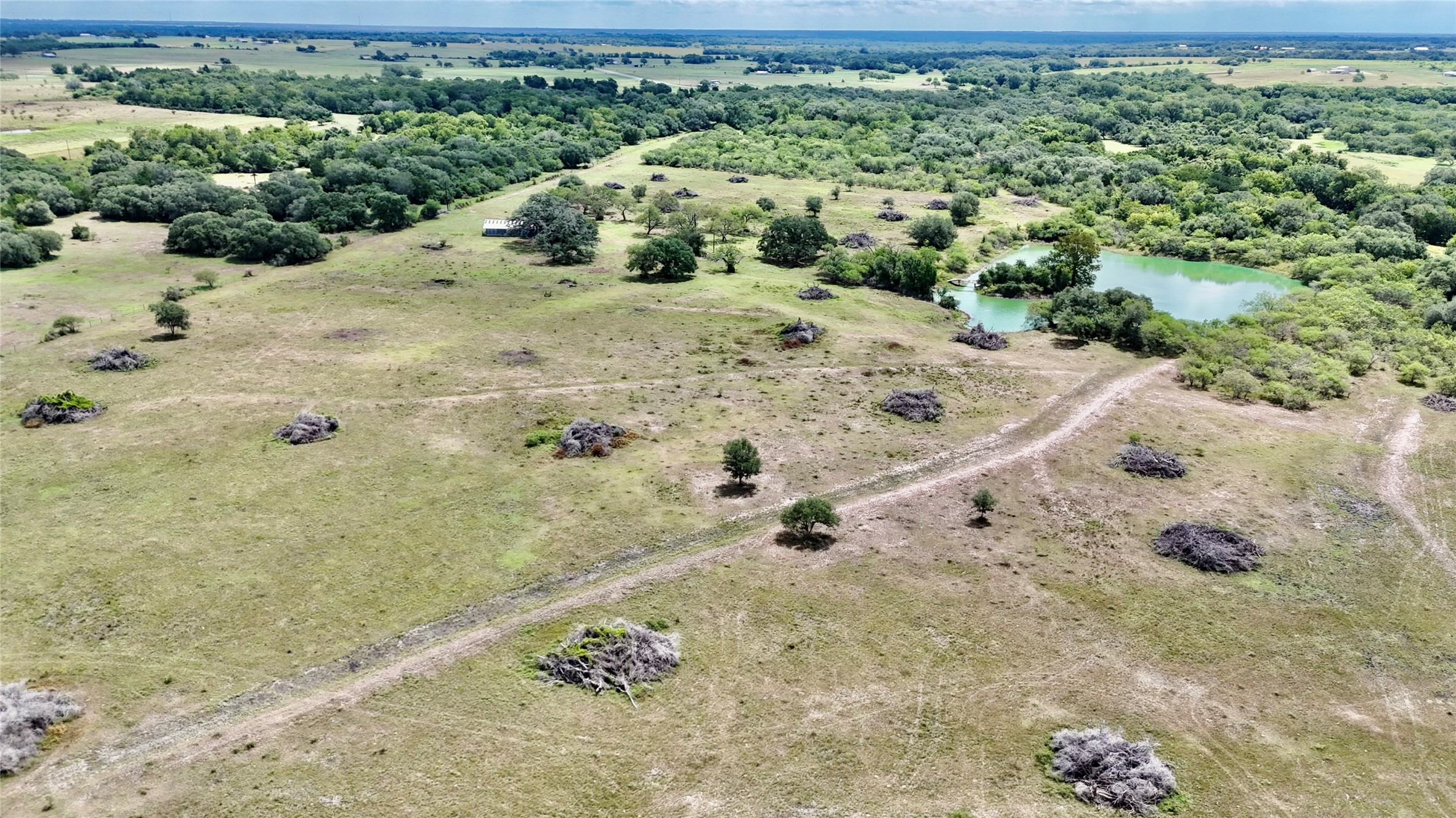 312 County Road 312 Yoakum, TX 77995 - Photo 2 of 28 a view of a dry yard with lots of trees