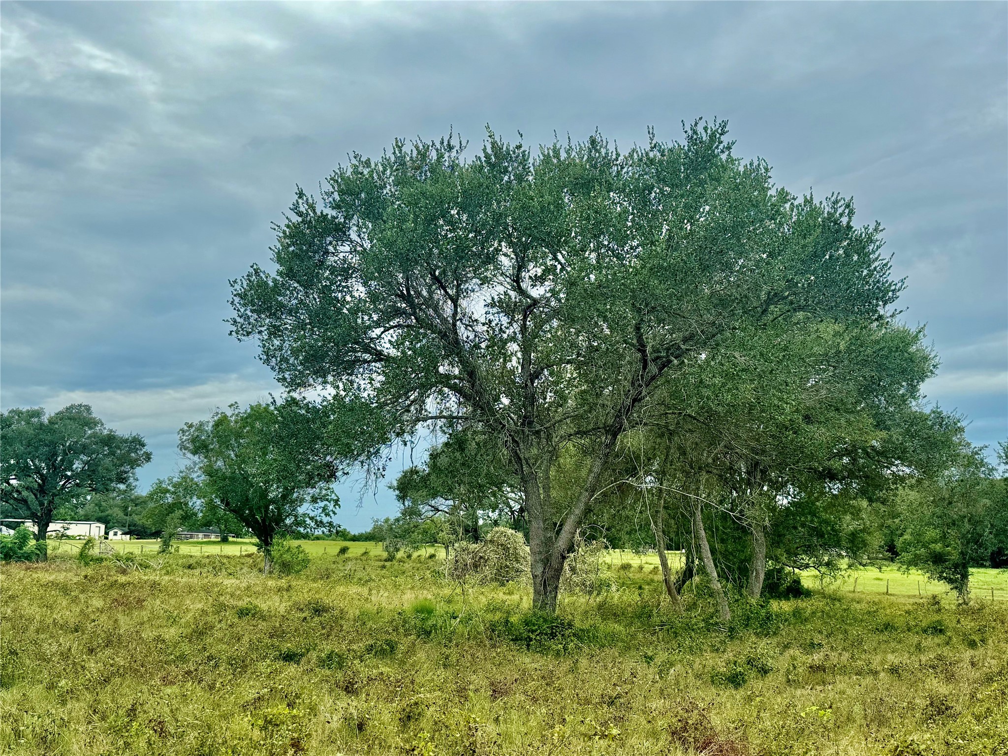 312 County Road 312 Yoakum, TX 77995 - Photo 27 of 28 a view of a lush green space