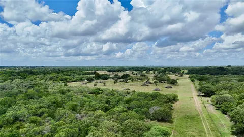 a view of a bunch of trees and houses