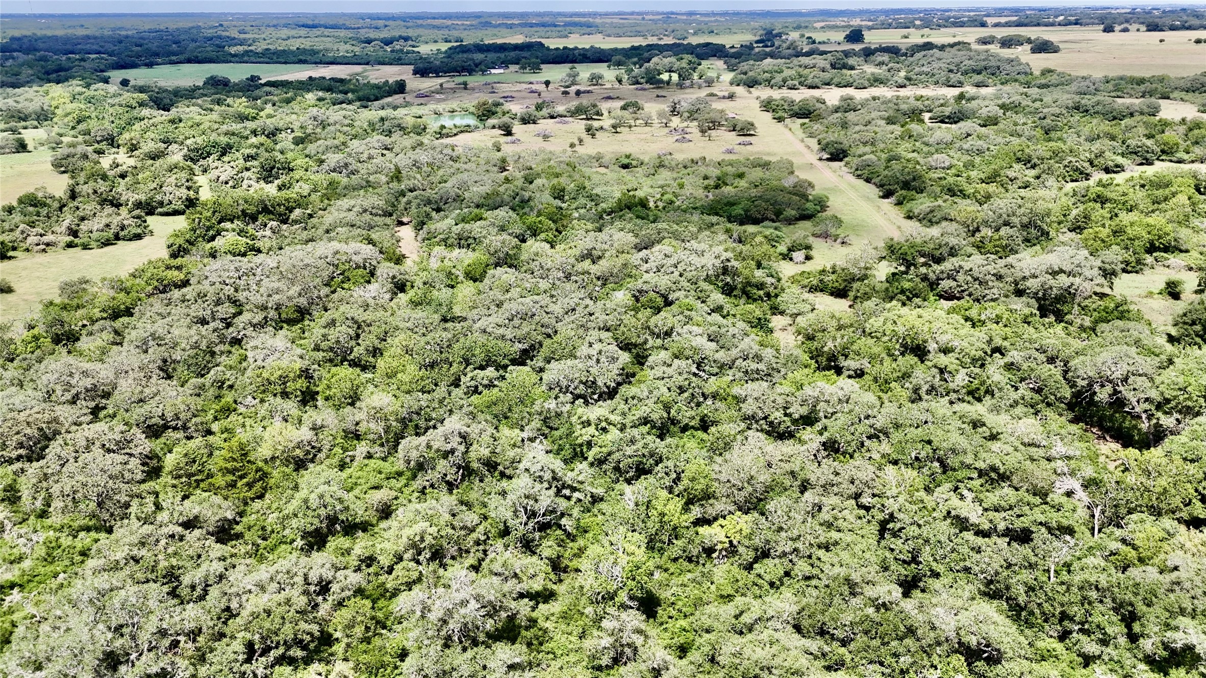 312 County Road 312 Yoakum, TX 77995 - Photo 5 of 28 a view of a large yard with lots of green space