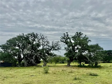 a view of a bunch of trees and buildings
