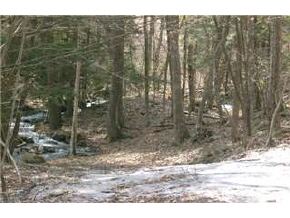 0 Reservoir Road Fairlee, VT 05045 - Photo 3 of 9