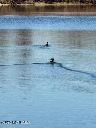 a view of a lake view