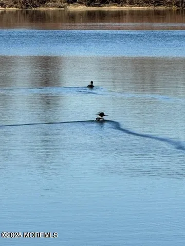 a view of a lake view