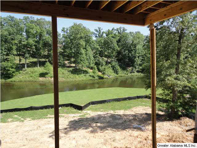 2828 Aster Lake Road Helena, AL 35022 - Photo 9 of 9