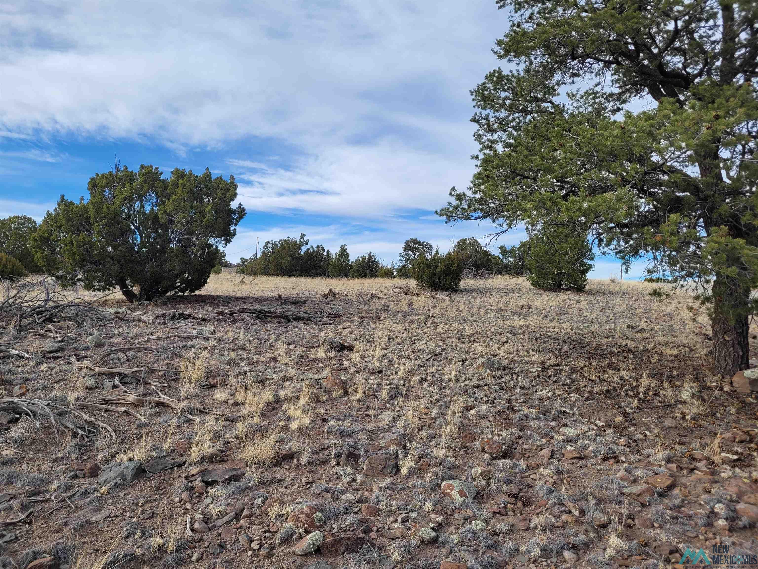 47 Cougar Run Datil, NM 87821 - Photo 2 of 38 Gallery Image 2