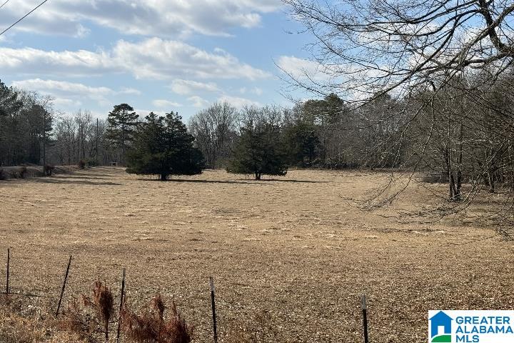 1036 Rushing Springs Road Lincoln, AL 35096 - Photo 58 of 58