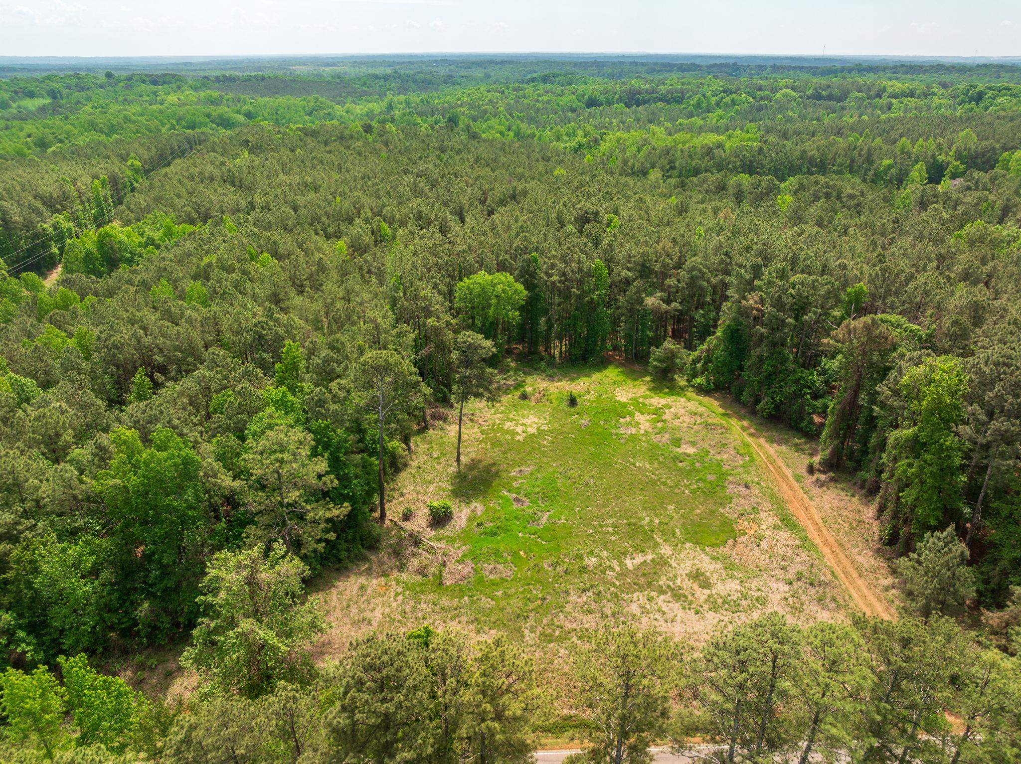Lot 3 Cannons Campground Road Cowpens, SC 29330 - Photo 19 of 20