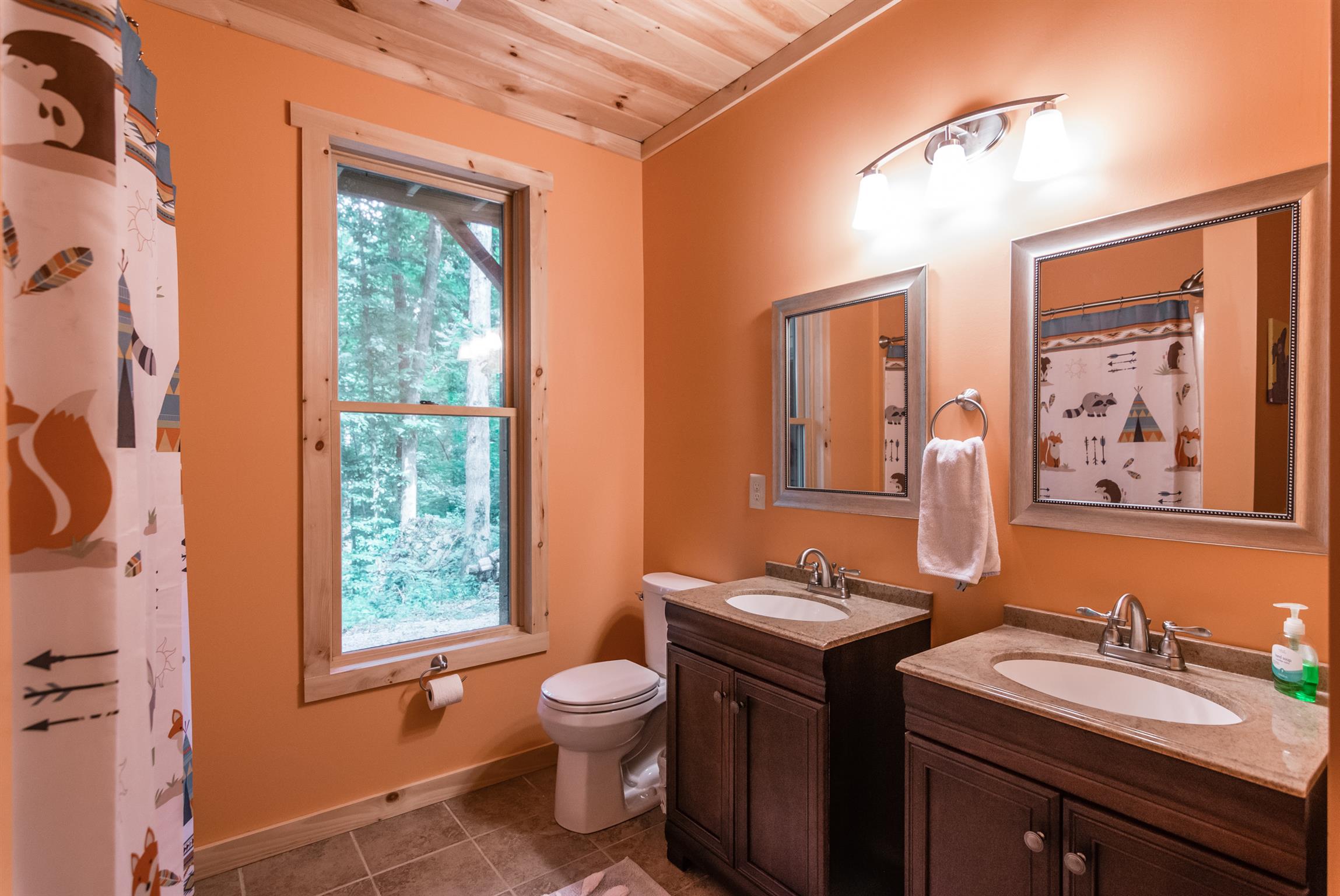 1279 Rogues Fork Road Bethpage, TN 37022 - Photo 29 of 30 a bathroom with a toilet sink and mirror