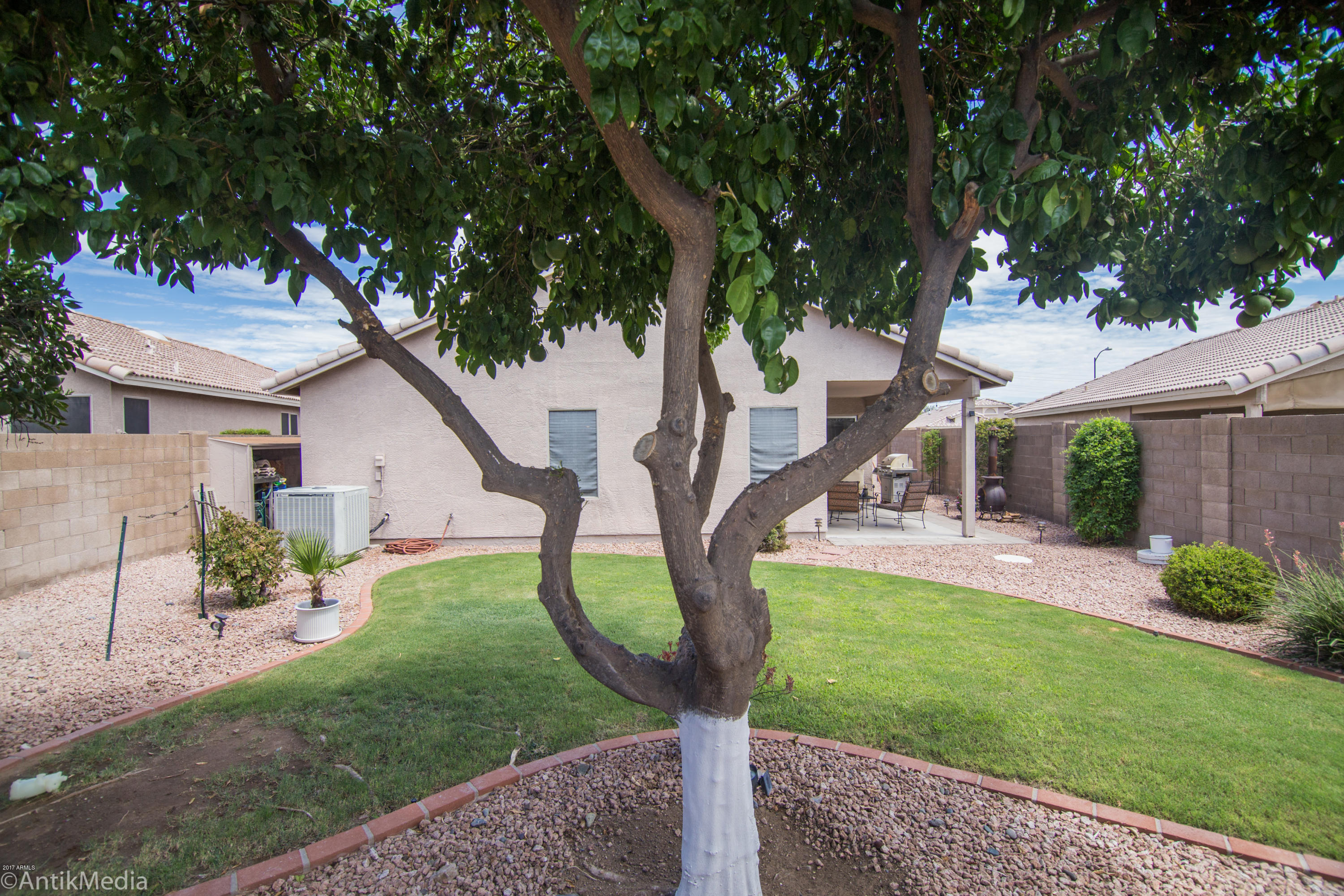 509 West St John Road Phoenix, AZ 85023 - Photo 25 of 30 Fruit Tree