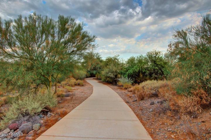 509 West St John Road Phoenix, AZ 85023 - Photo 28 of 30 Dave Brown_walking path