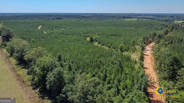 a view of a lush green space with lots of trees