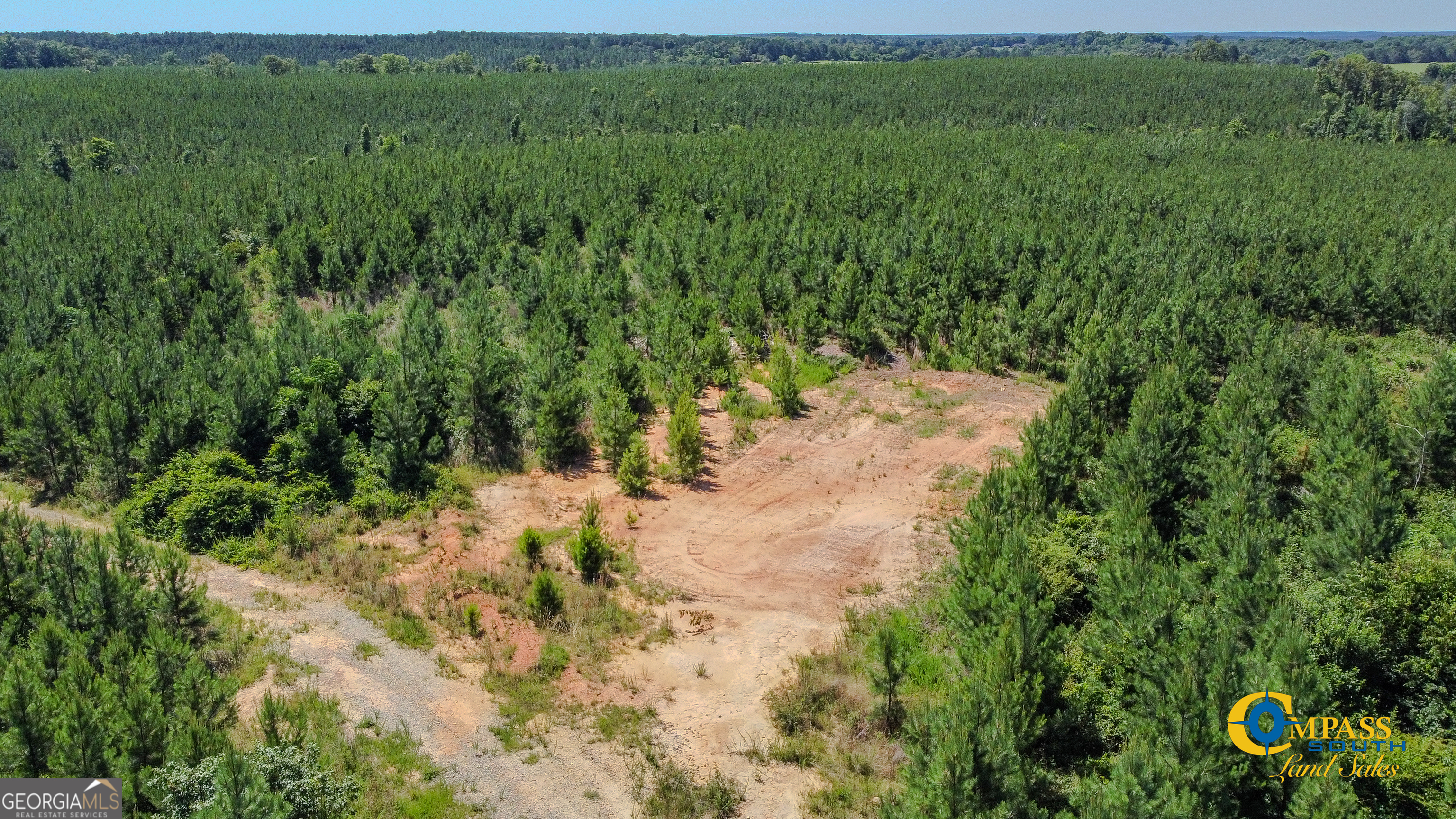 0 Allmon Road Butler, GA 31006 - Photo 4 of 8 a view of an outdoor space and a yard