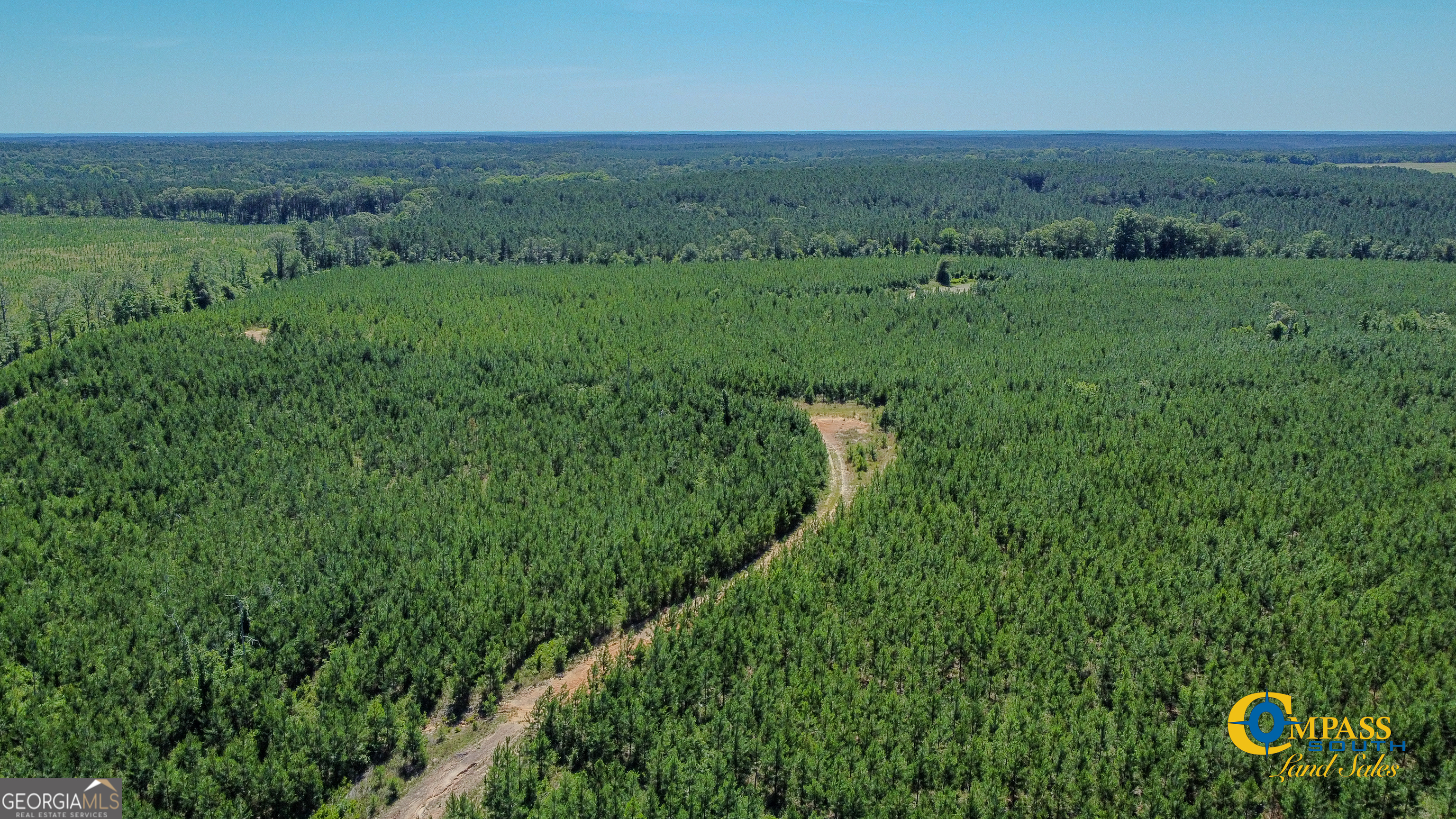 0 Allmon Road Butler, GA 31006 - Photo 5 of 8 a view of a green field with lots of bushes