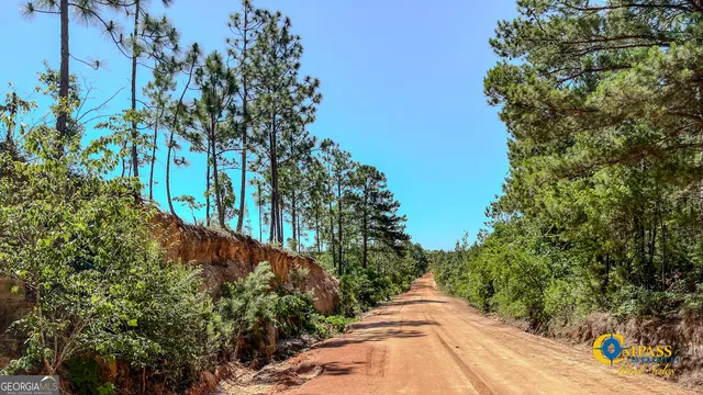 a view of a garden with plants and trees