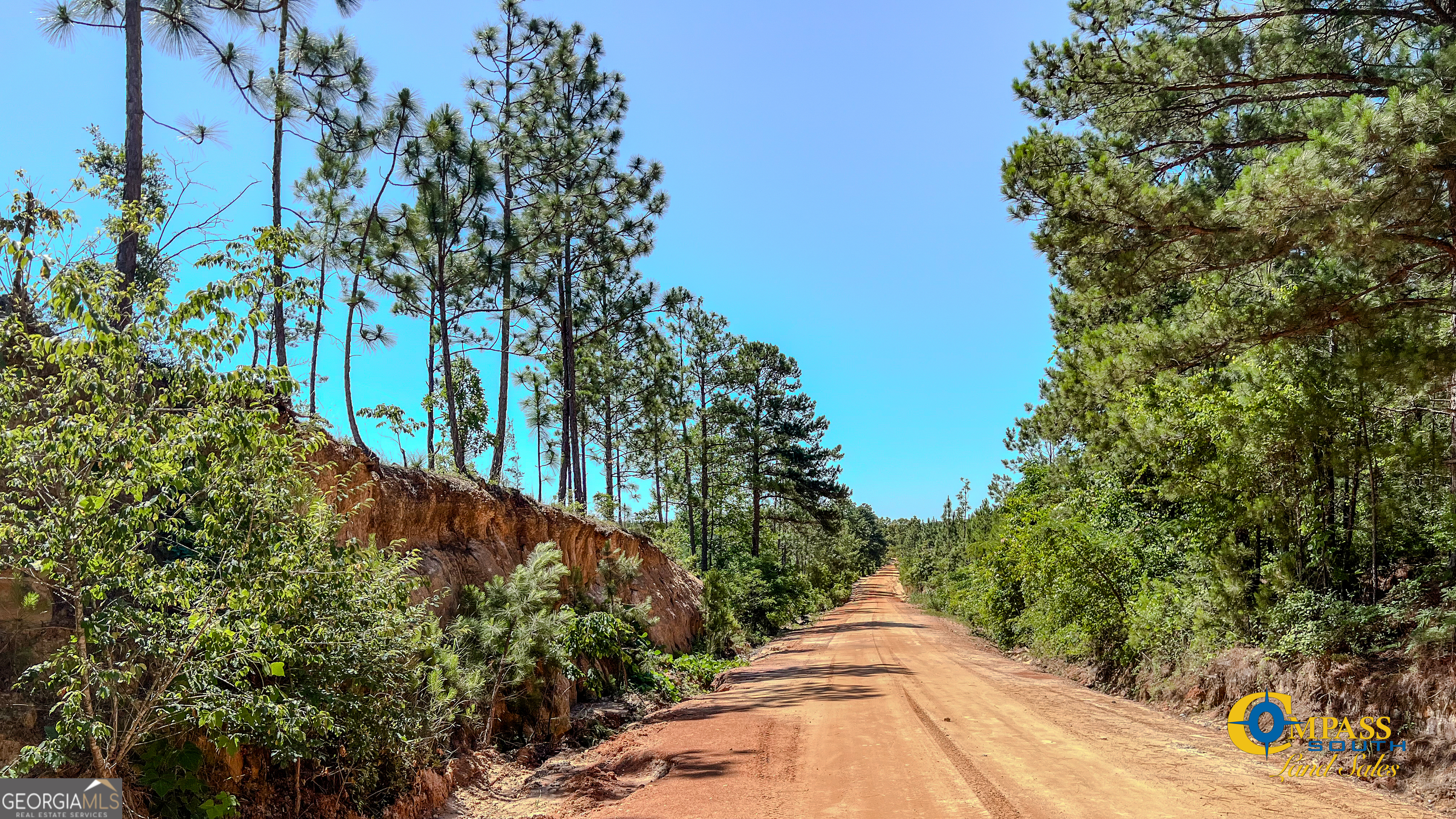 0 Allmon Road Butler, GA 31006 - Photo 6 of 8 a view of a garden with plants and trees