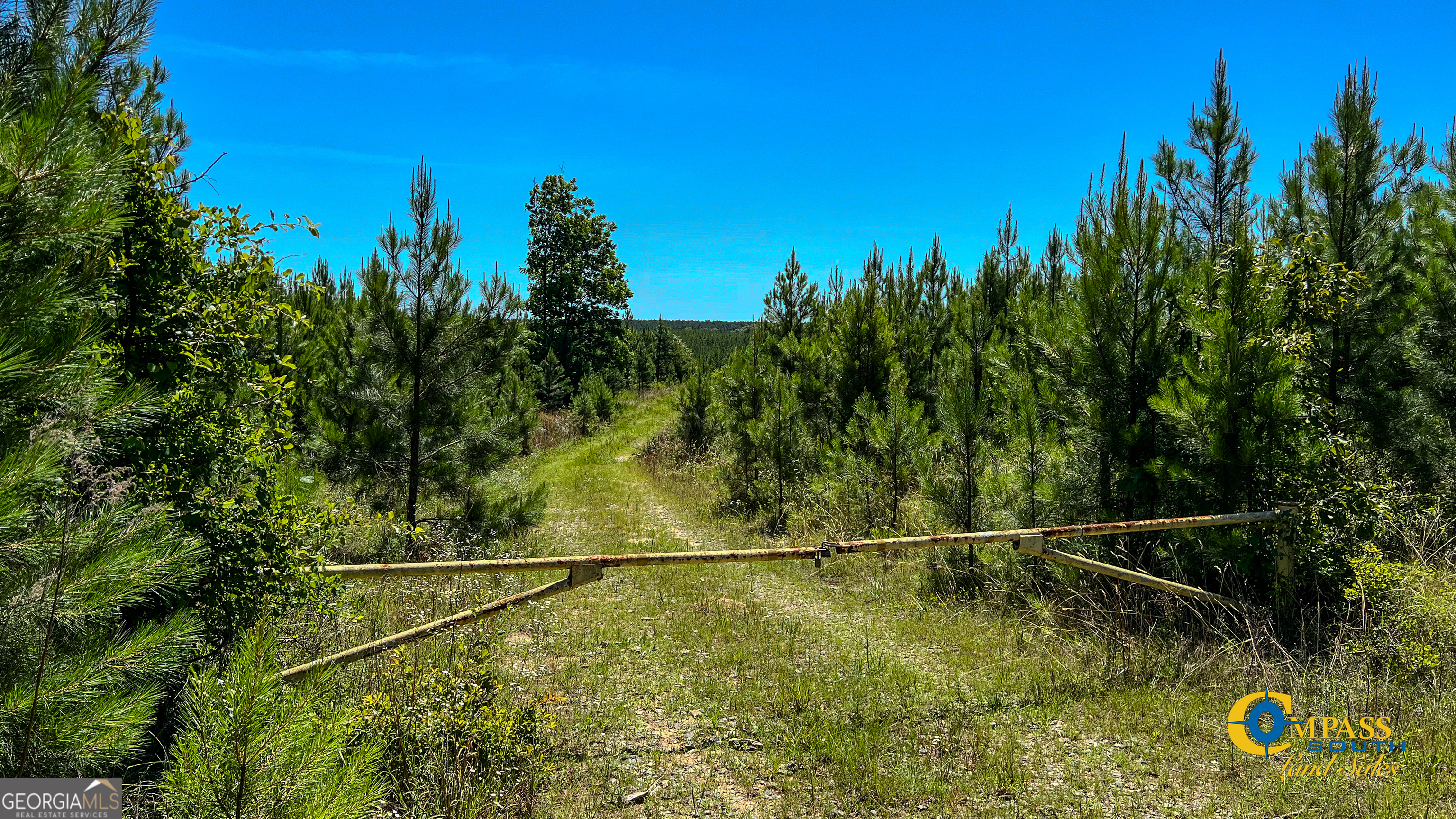 0 Allmon Road Butler, GA 31006 - Photo 7 of 8 a view of swimming pool from a balcony