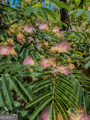 $357,160 | 0 Allmon Road, Butler, GA 31006