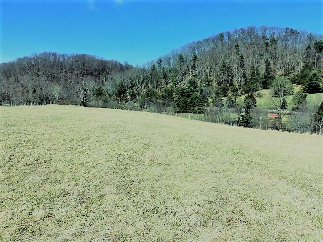 Tbd Mill Creek Road Glade Spring, VA 24340 - Photo 20 of 20 Gallery Image 20