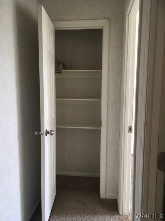458 Heber Road Golden Valley, AZ 86413 - Photo 26 of 32 Linen closet in the guest wing.
