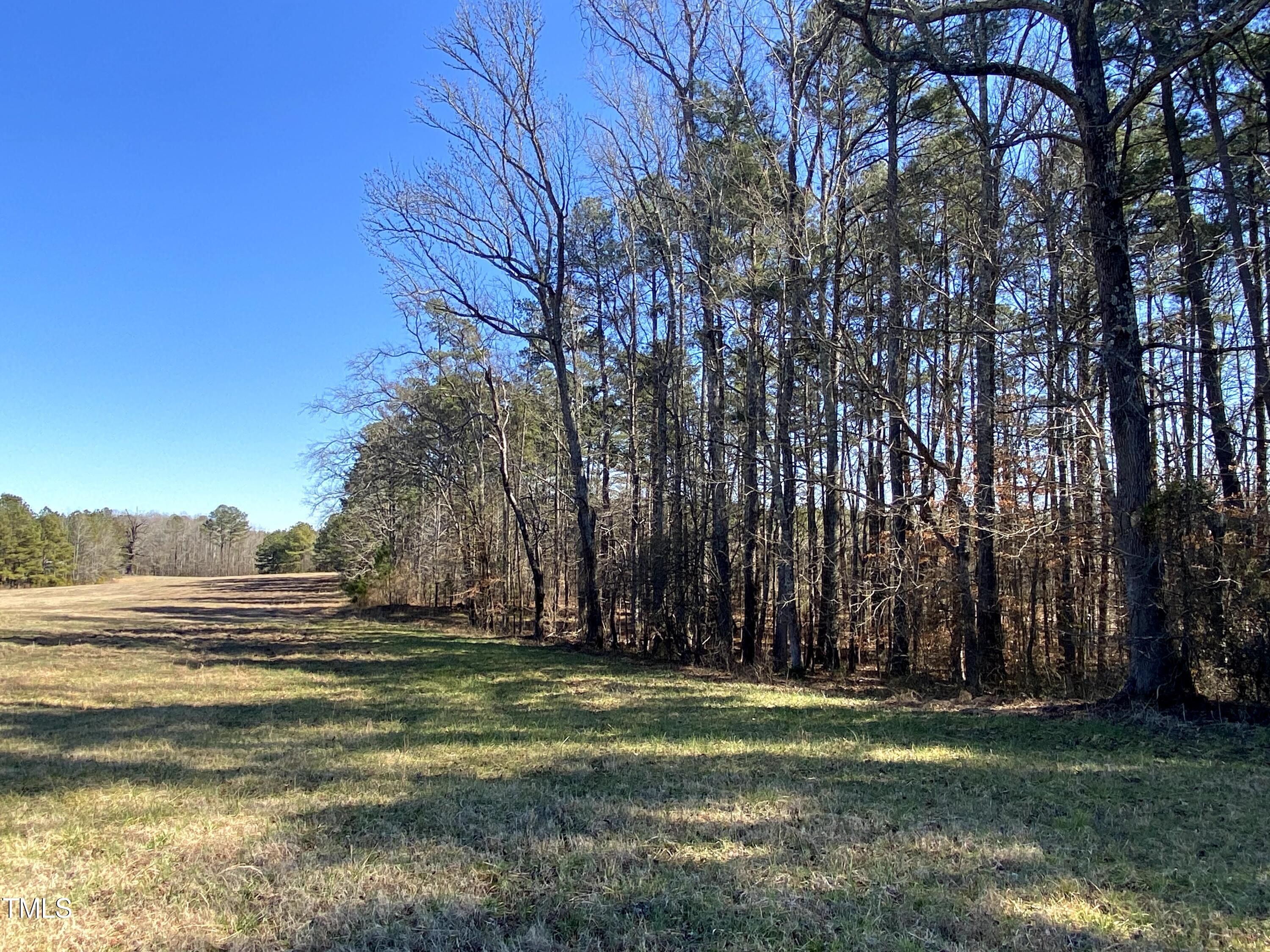 2523 Hamlin Road Durham, NC 27704 - Photo 11 of 19 a view of a park with large trees