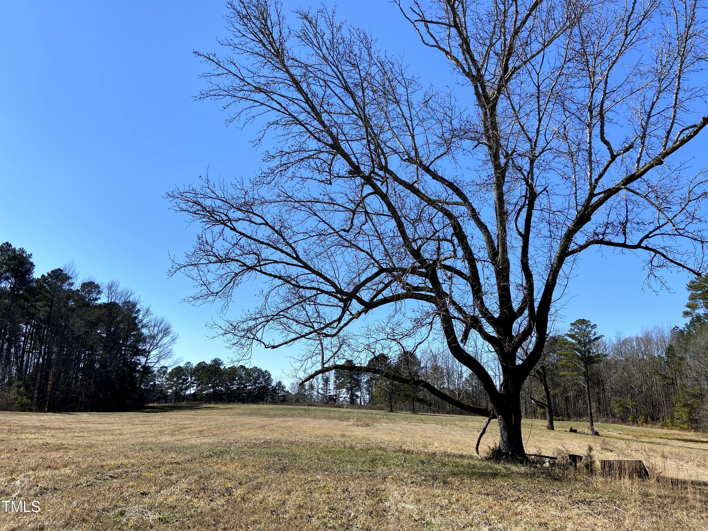 2523 Hamlin Road Durham, NC 27704 - Photo 3 of 19 a view of a yard with a tree