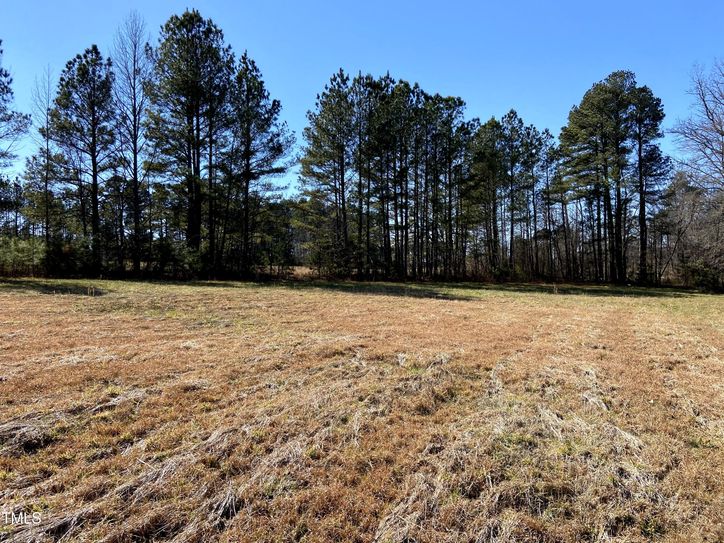 2523 Hamlin Road Durham, NC 27704 - Photo 6 of 19 a swimming pool with trees in the background