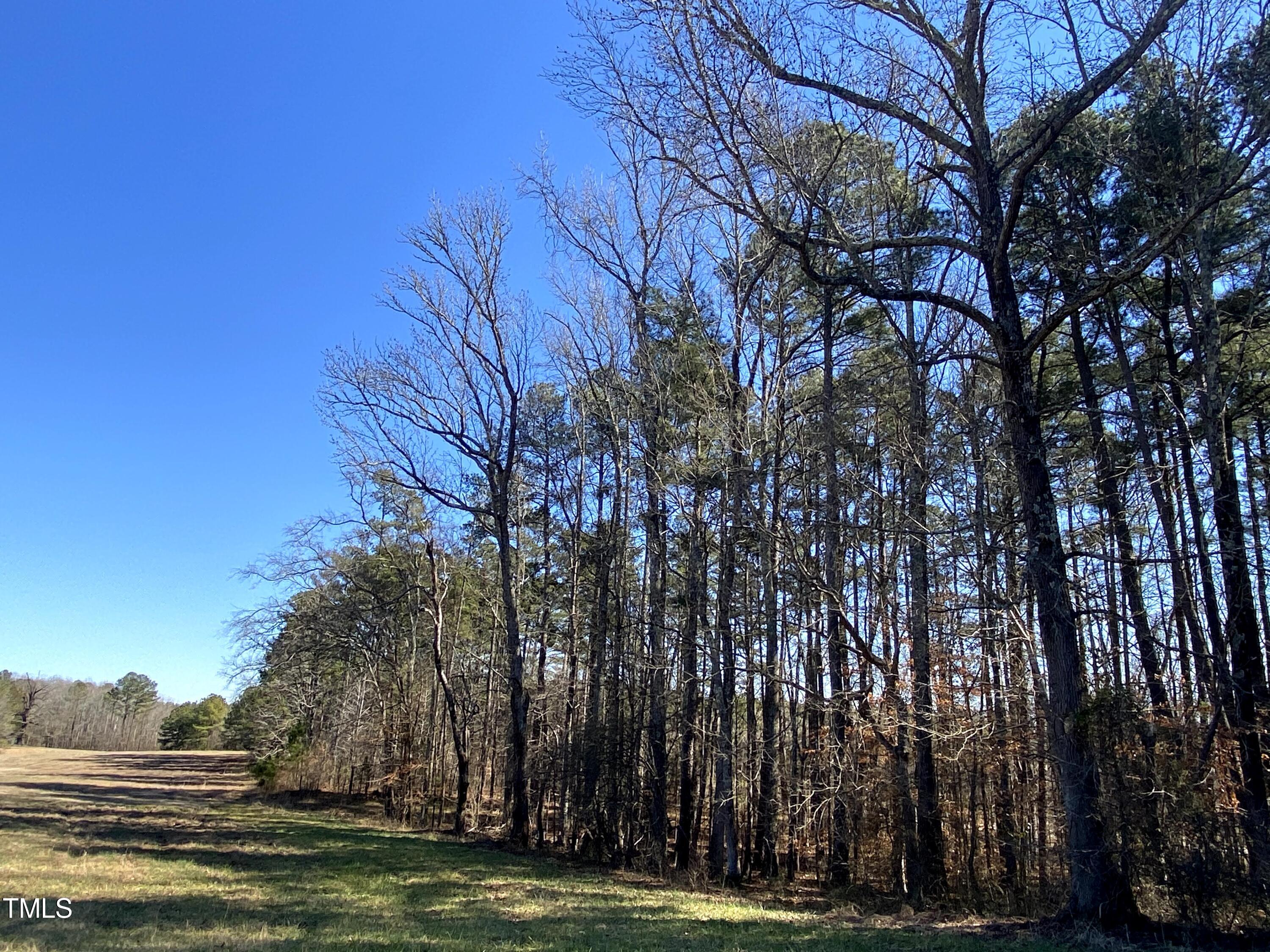 2523 Hamlin Road Durham, NC 27704 - Photo 10 of 19 a view of a field with trees in the background