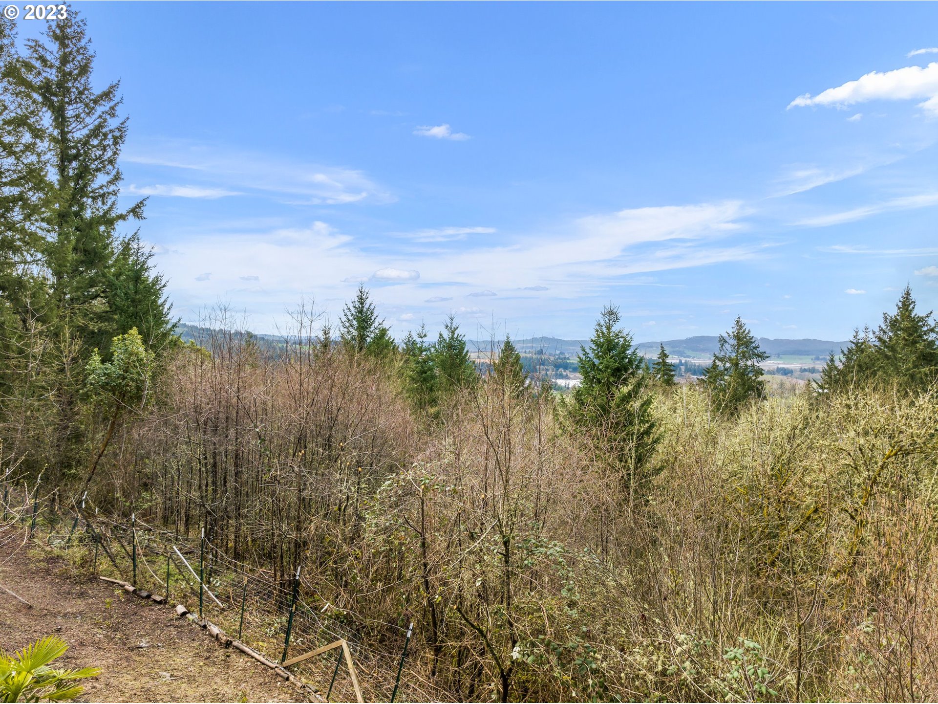 41441 Southwest Sandstrom Road Gaston, OR 97119 - Photo 43 of 47 a view of a city
