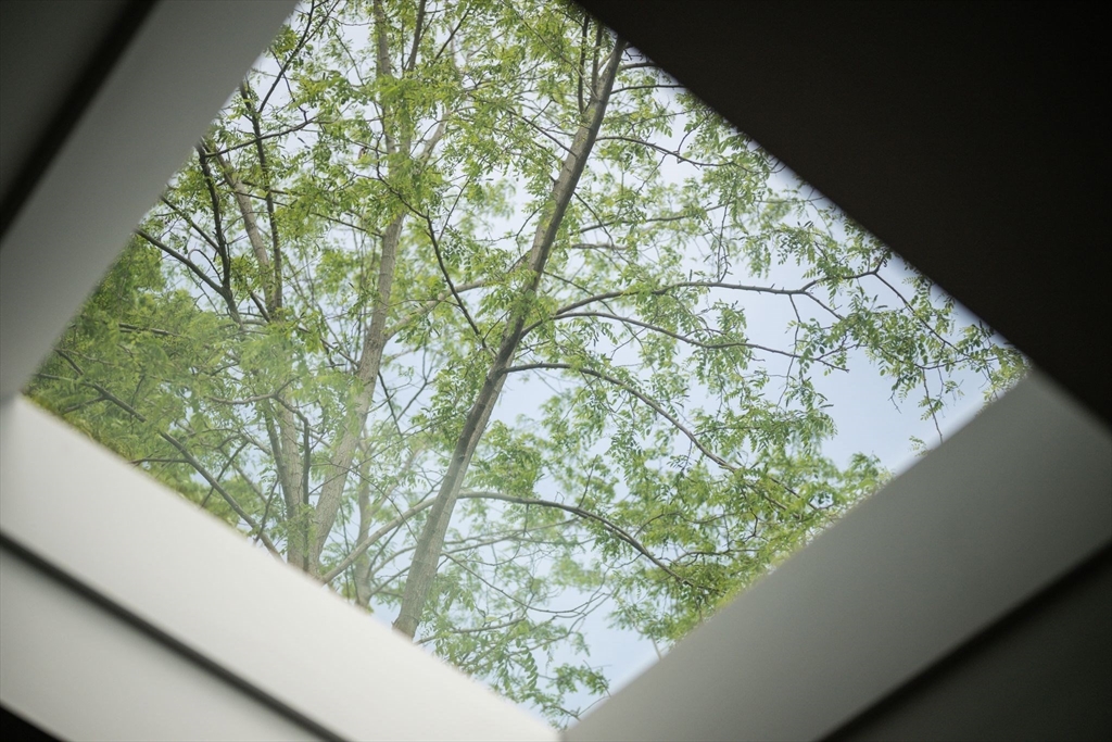 8 Baker Avenue Beverly, MA 01915 - Photo 5 of 40 a view of a garden from a window