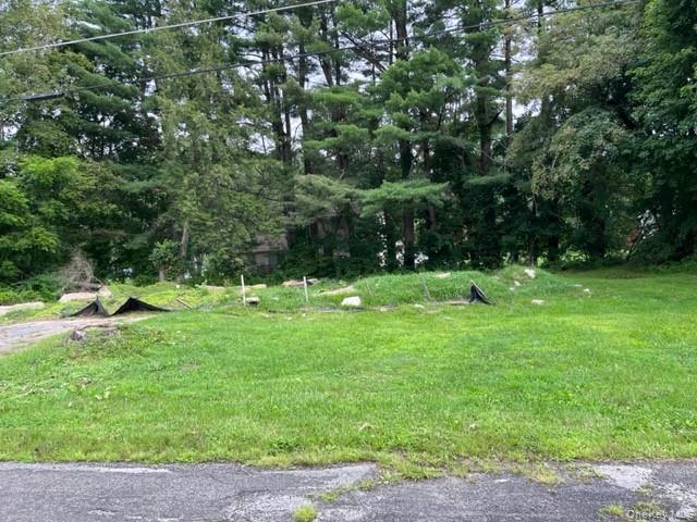 14 Johns Road Kerhonkson, NY 12446 - Photo 6 of 9 a view of a park