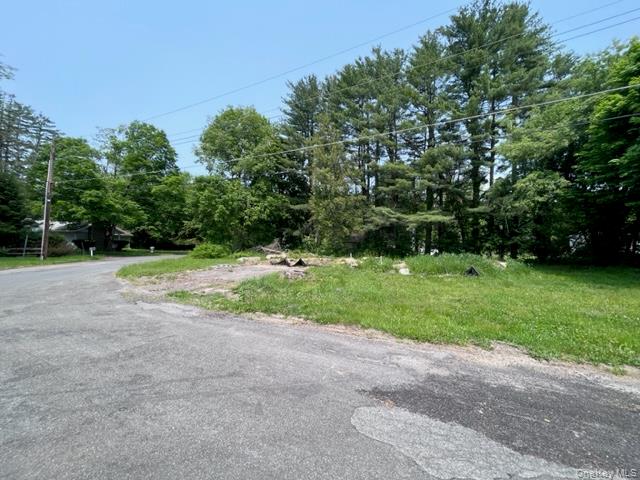 14 Johns Road Kerhonkson, NY 12446 - Photo 8 of 9 a view of backyard with green space