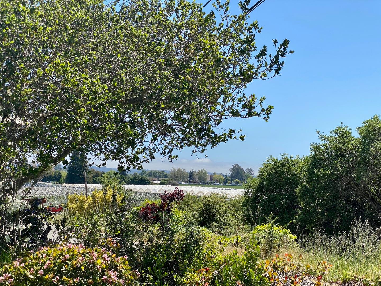 162 Amesti Road Watsonville, CA 95076 - Photo 25 of 63 Gallery Image 25