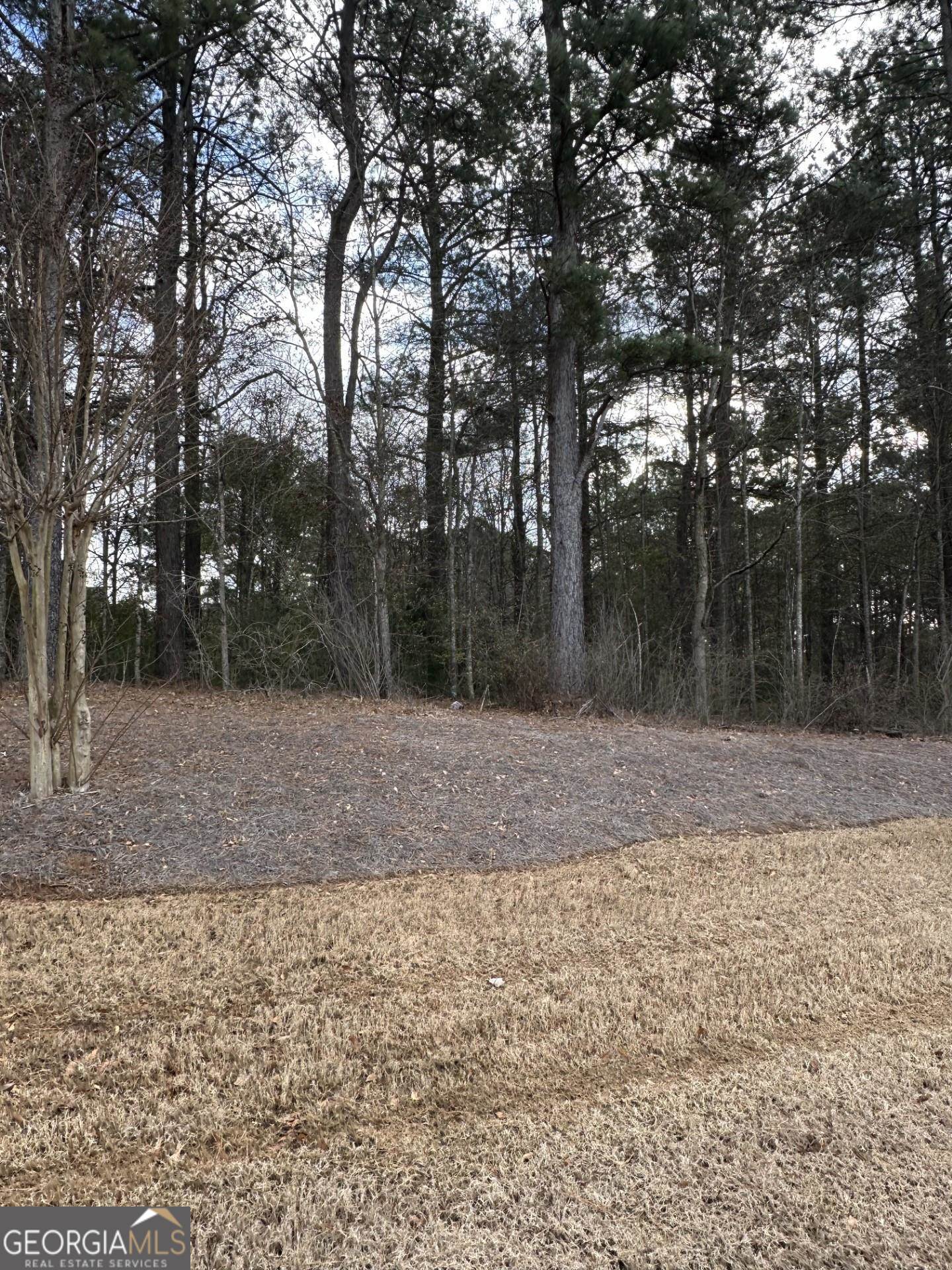 22 Hidden Trail Pendergrass, GA 30567 - Photo 1 of 1 a view of a backyard