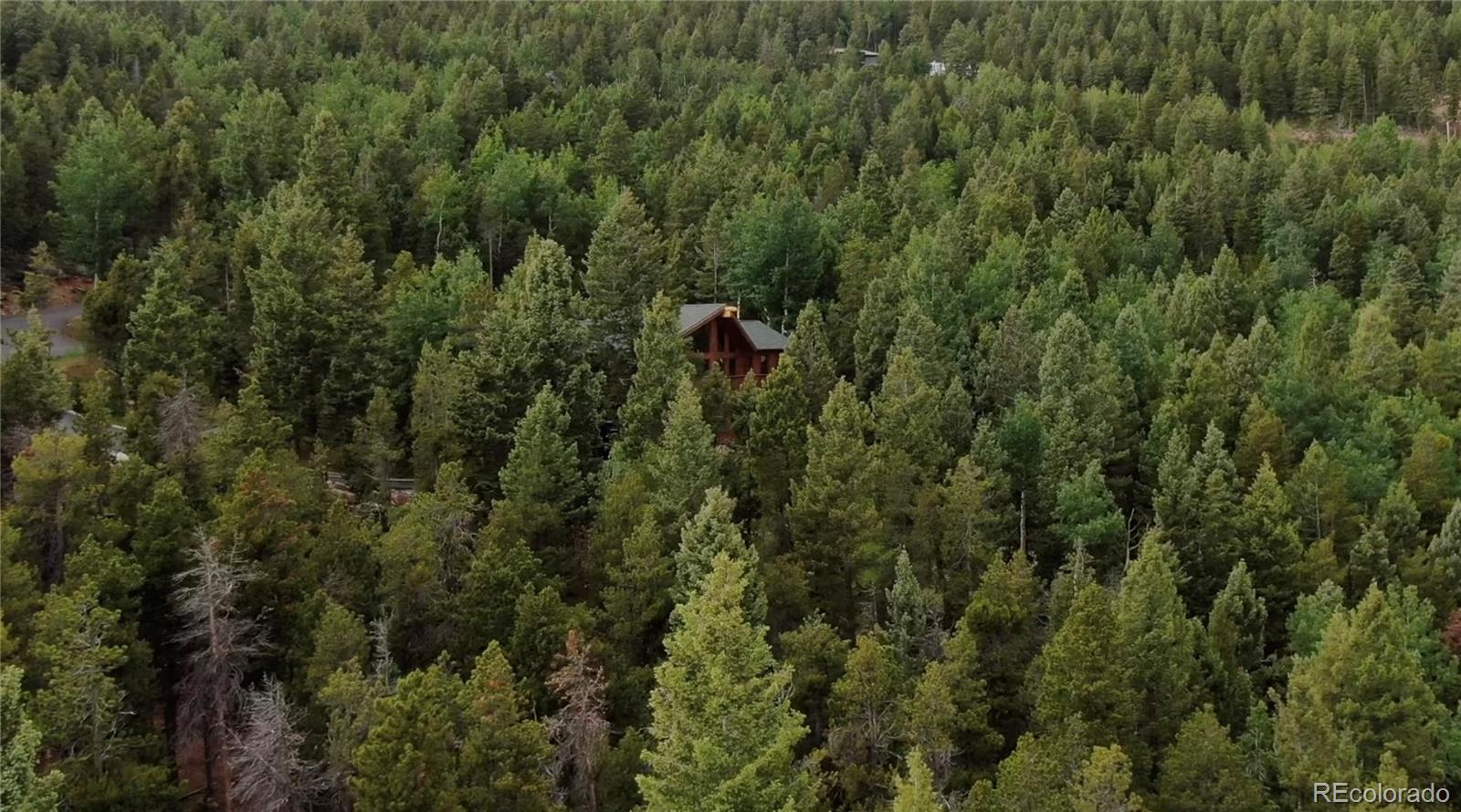 10248 Christopher Drive Conifer, CO 80433 - Photo 23 of 40 an aerial view of a house with a yard and trees all around