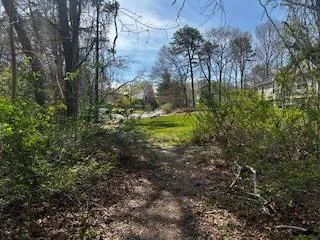 a view of a yard with plants and trees