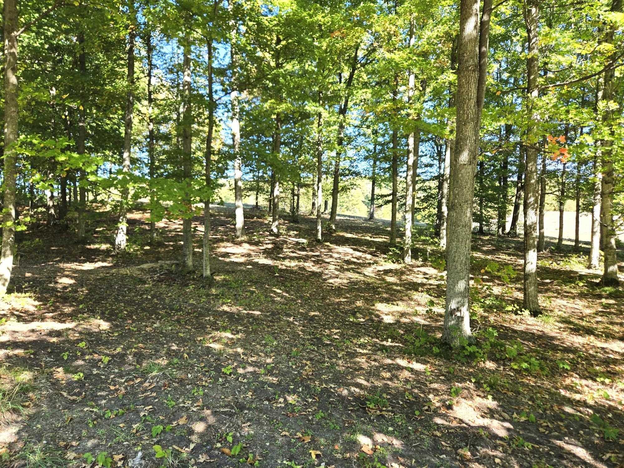 18 Heather Ridge Trail Beulah, MI 49617 - Photo 5 of 12