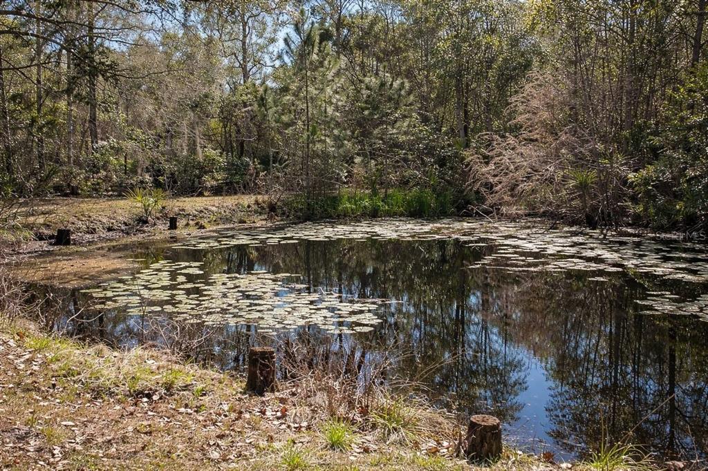 445 State Rte 415 Osteen, FL 32764 - Photo 23 of 25