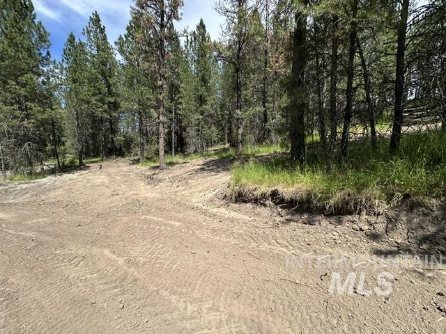 0 Parkins Road Troy, ID 83871 - Photo 13 of 33