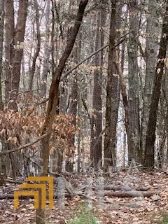 $45,000 | 0 Bluff Road, Elberton, GA 30635