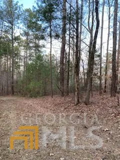 $45,000 | 0 Bluff Road, Elberton, GA 30635