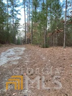 $45,000 | 0 Bluff Road, Elberton, GA 30635