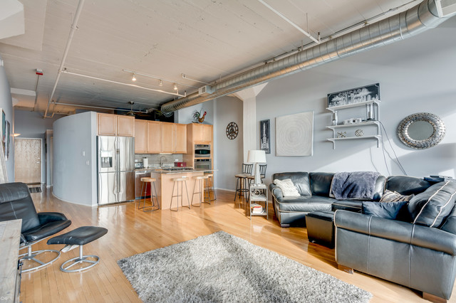 1530 South State Street, Unit 519 Chicago, IL 60605 - Photo 6 of 25