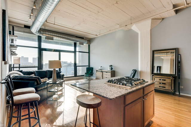 1530 South State Street, Unit 519 Chicago, IL 60605 - Photo 10 of 25